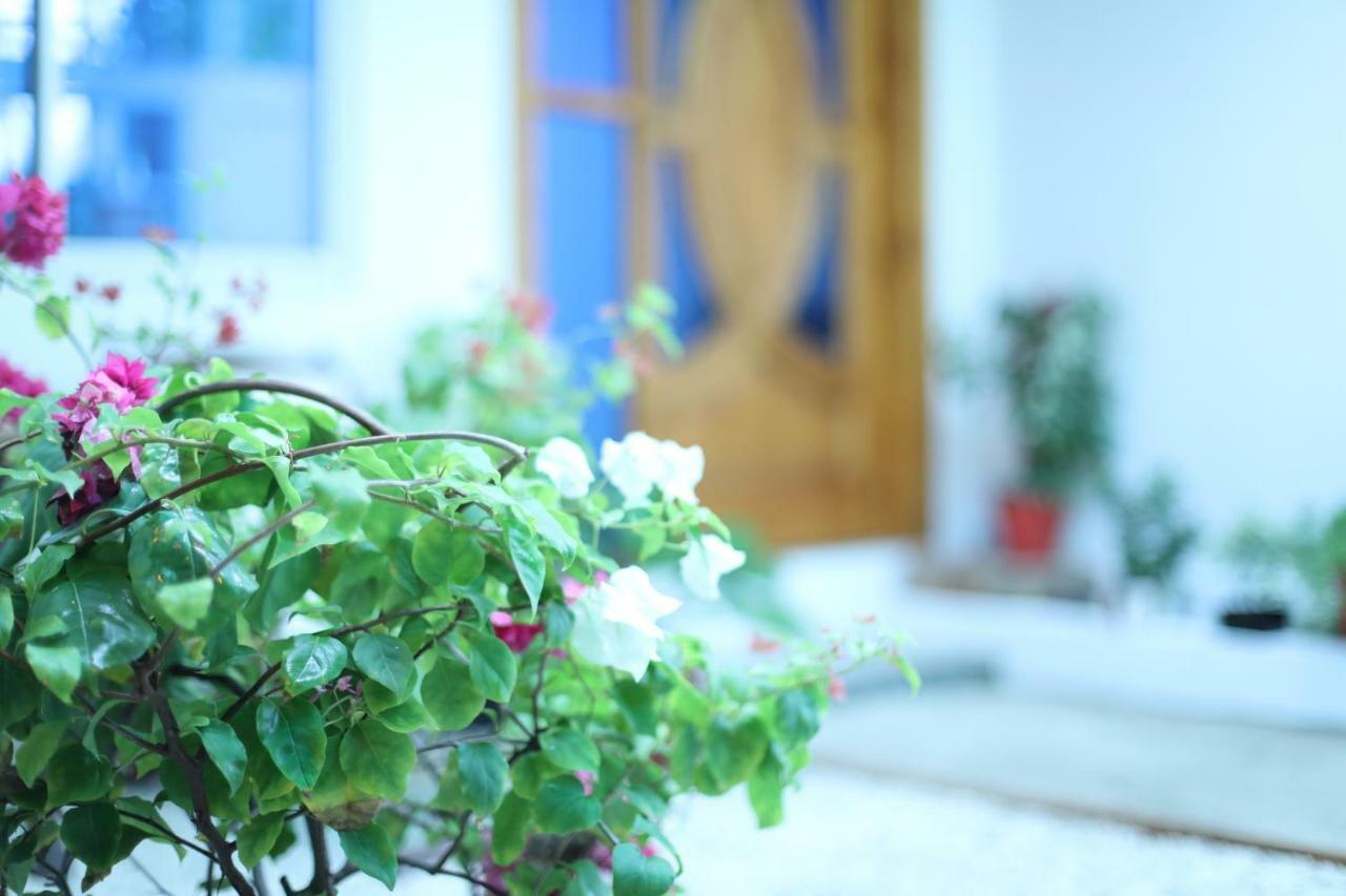 Hotel Moodhu Surf House Himmafushi Exterior foto